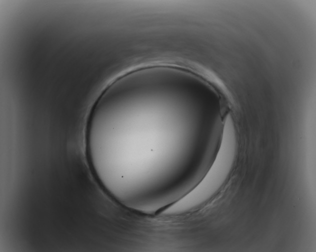 X0000089681512200706281348