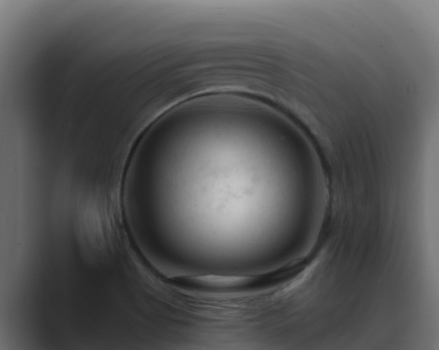X0000089681513200706281348
