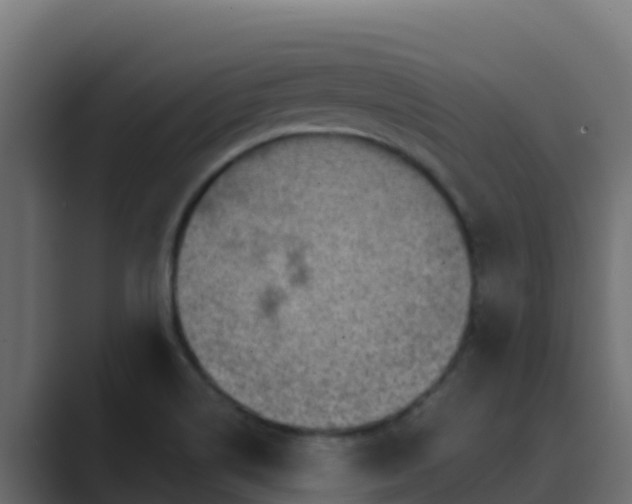 X0000089681514200706281348