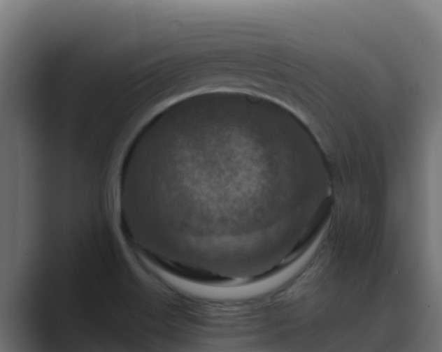 X0000089681515200706281348