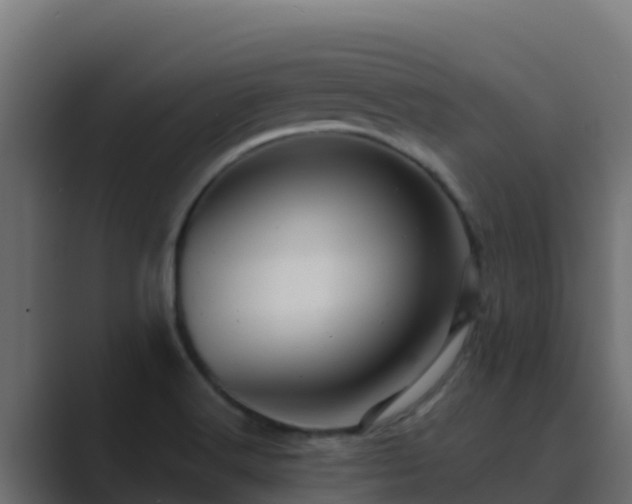 X0000089681516200706281348