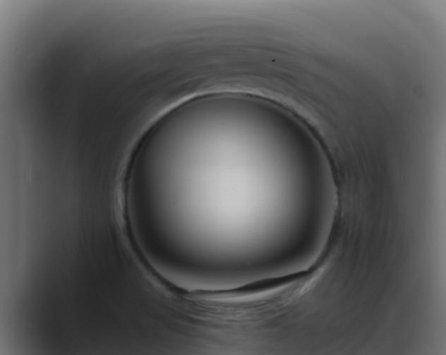 X0000089681517200706281348