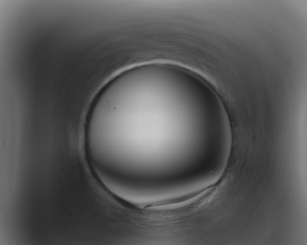 X0000089681518200706281348
