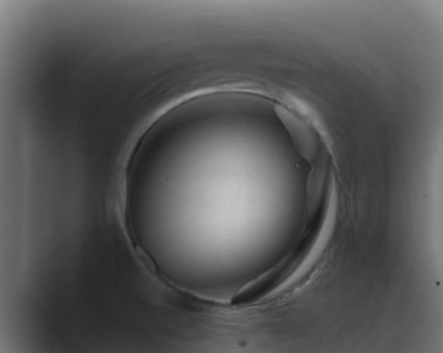 X0000089681520200706281348