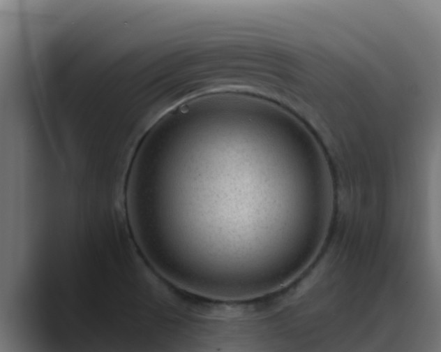 X0000089681521200706281348