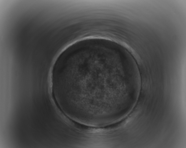 X0000089681522200706281348