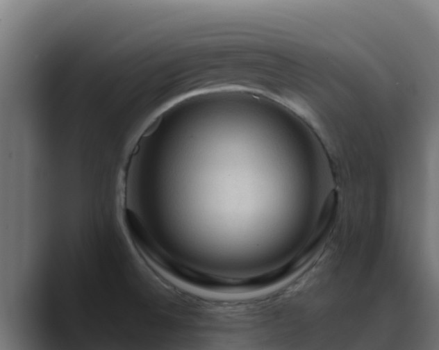 X0000089681524200706281348