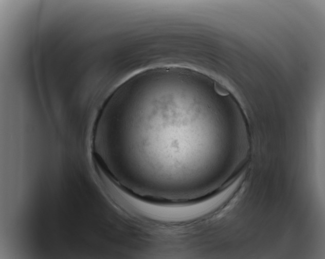 X0000089681525200706281348