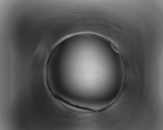 X0000089681526200706281348