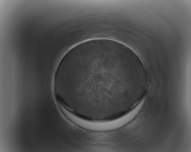 X0000089681527200706281348