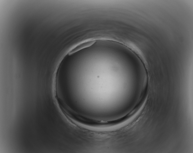 X0000089681528200706281348