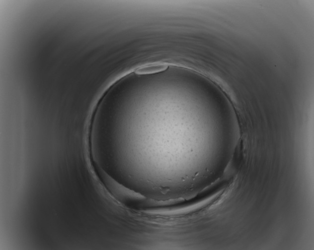 X0000089681530200706281348