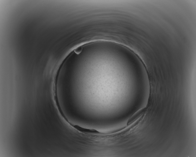 X0000089681531200706281348