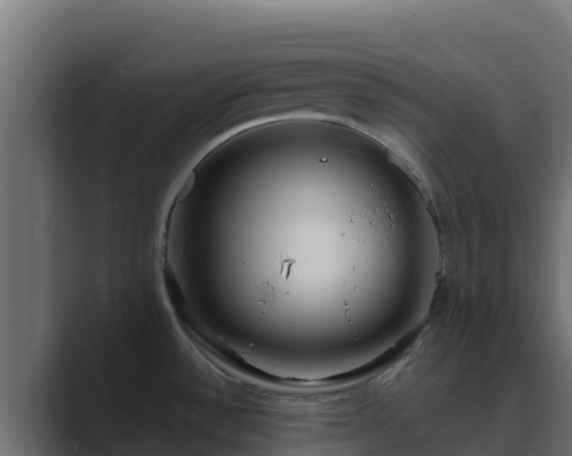 X0000089681532200706281348