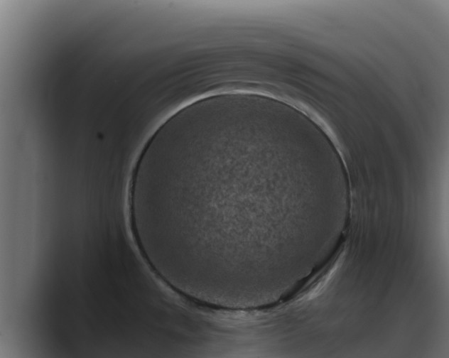 X0000089681533200706281348