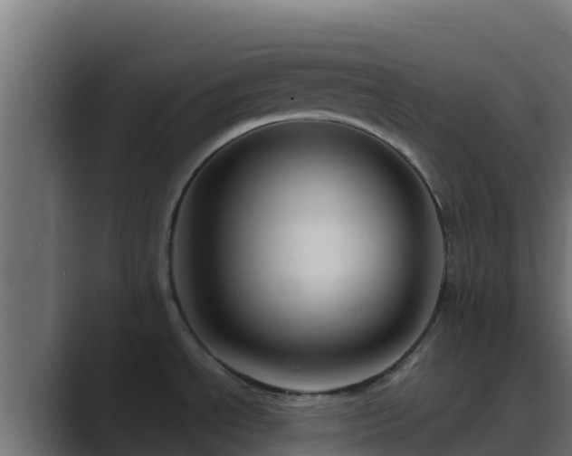 X0000089681534200706281348