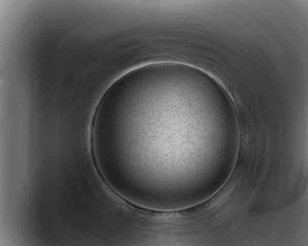 X0000089681535200706281348