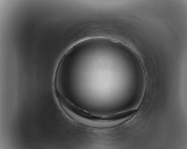 X0000089681536200706281348