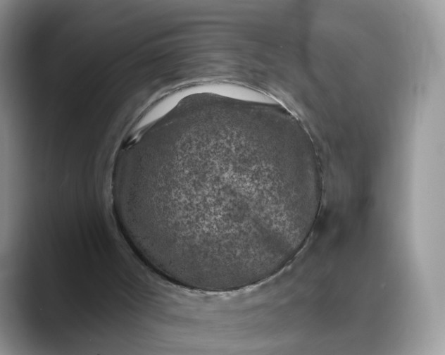 X0000089680002200707051615