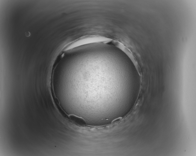 X0000089680003200707051615
