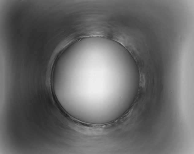 X0000089680004200707051615
