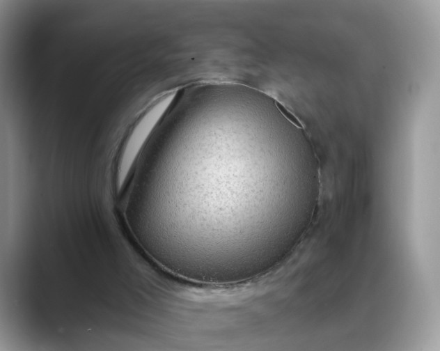 X0000089680005200707051615