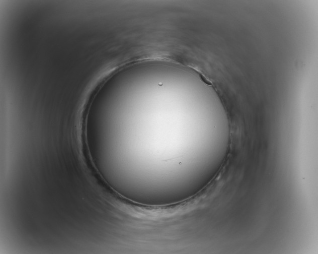 X0000089680006200707051615
