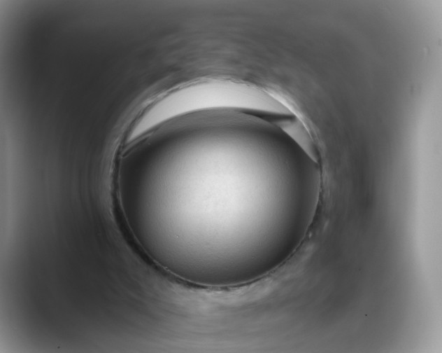 X0000089680007200707051615