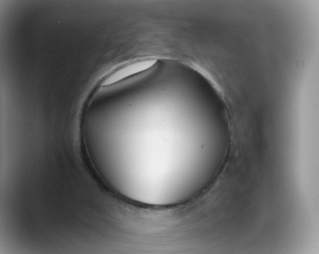 X0000089680008200707051615