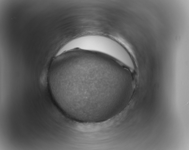 X0000089680009200707051615
