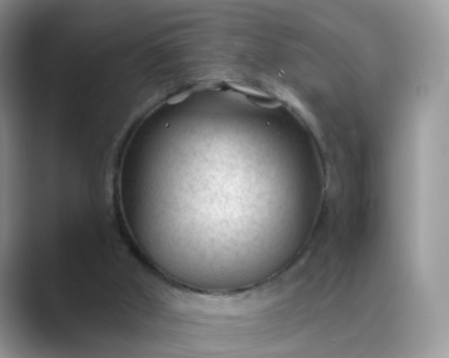 X0000089680010200707051615