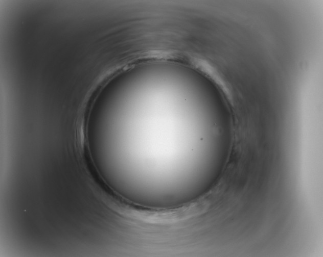 X0000089680011200707051615