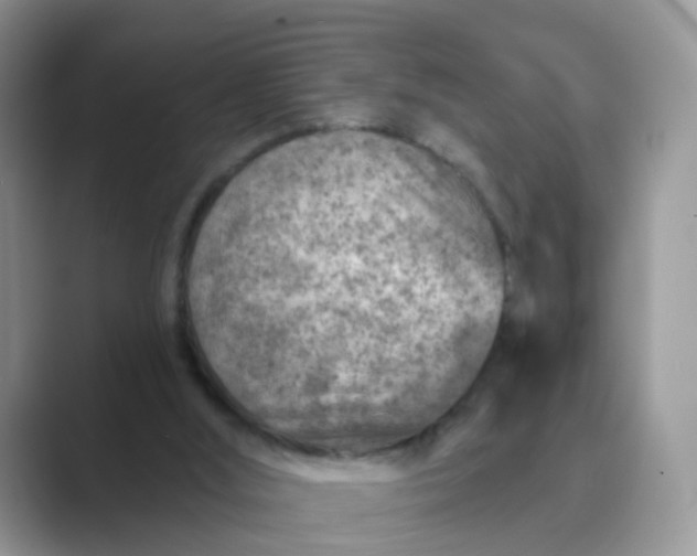 X0000089680012200707051615