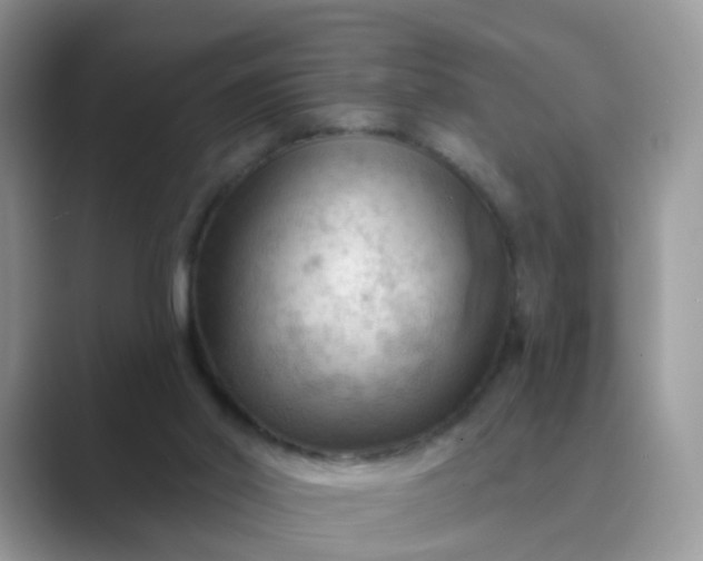 X0000089680014200707051615