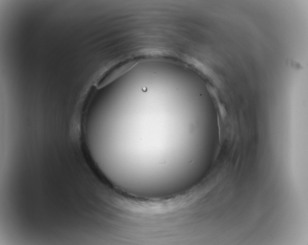X0000089680015200707051615