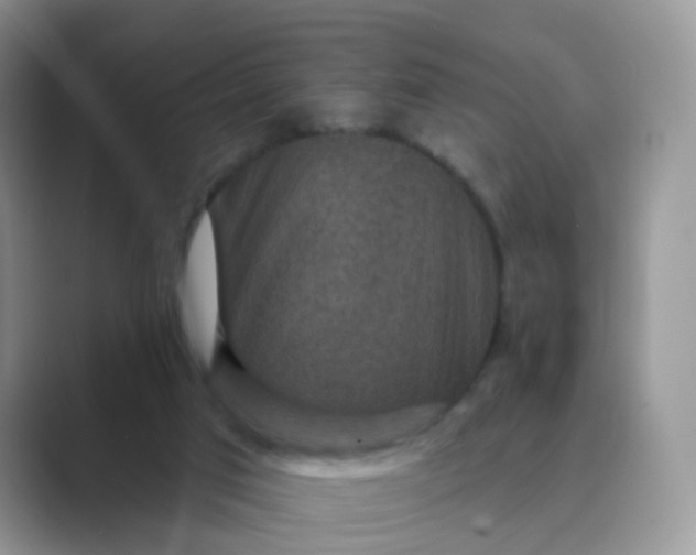X0000089680017200707051615