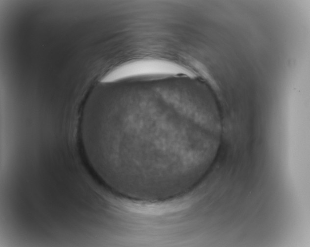 X0000089680018200707051615
