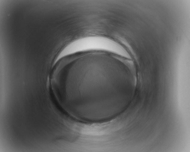 X0000089680019200707051615