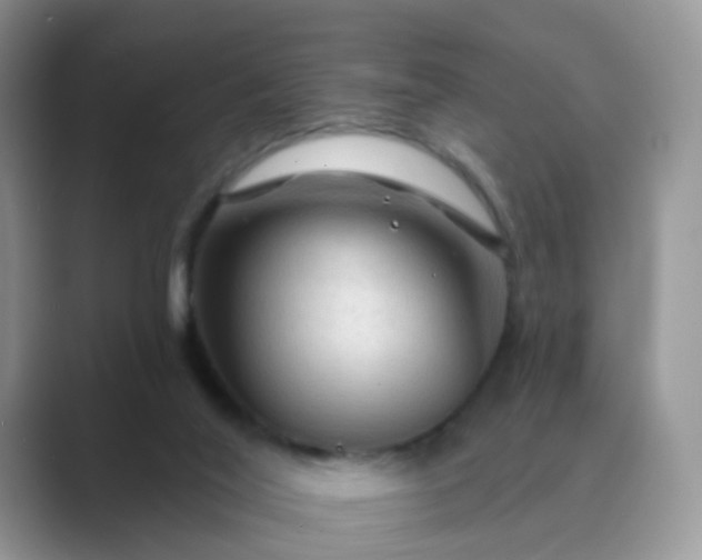 X0000089680020200707051615