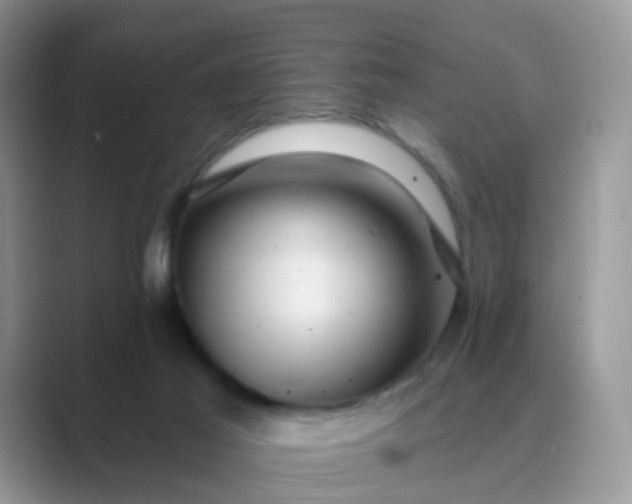 X0000089680021200707051615