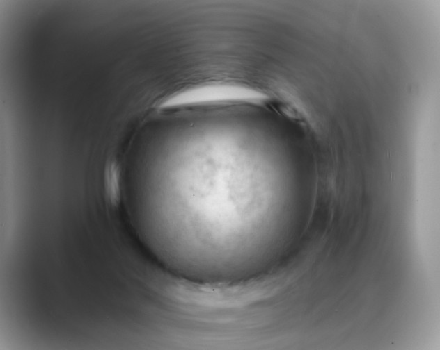 X0000089680022200707051615