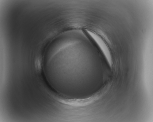 X0000089680023200707051615