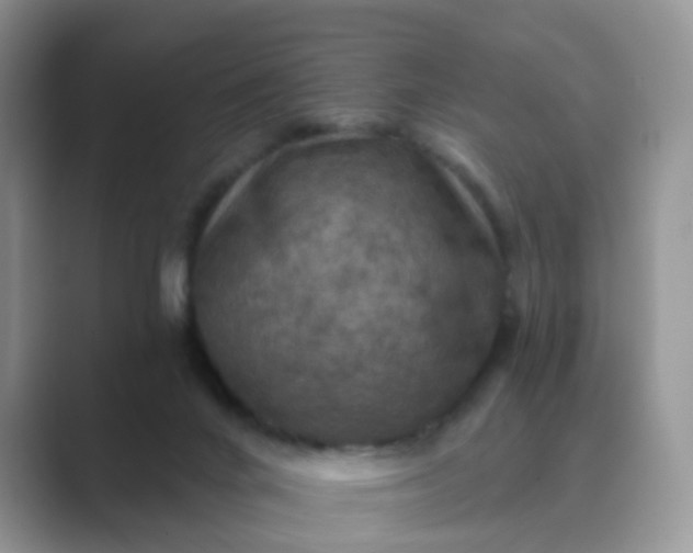 X0000089680024200707051615