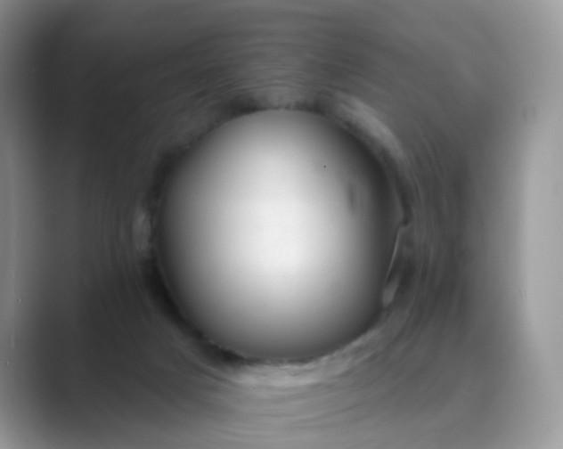 X0000089680025200707051615
