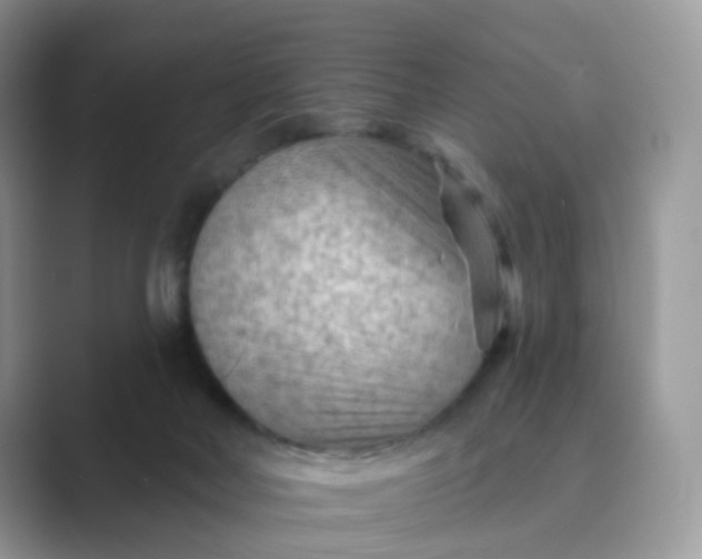 X0000089680026200707051615