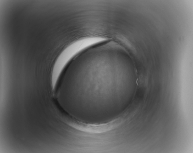 X0000089680027200707051615