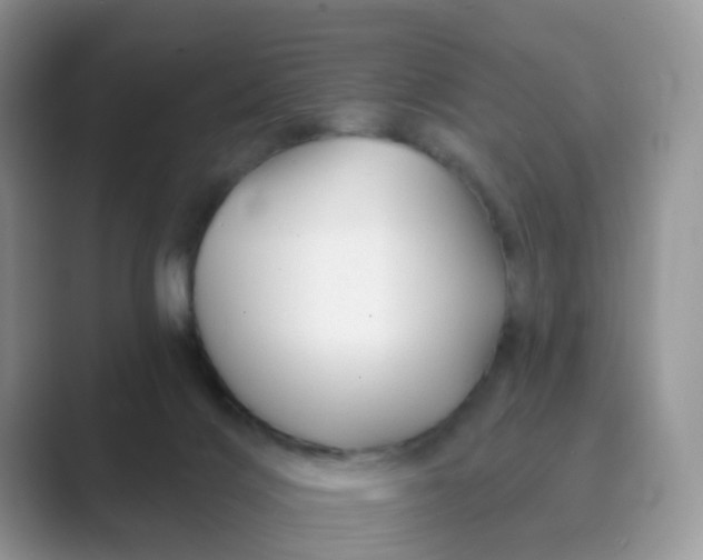 X0000089680028200707051615