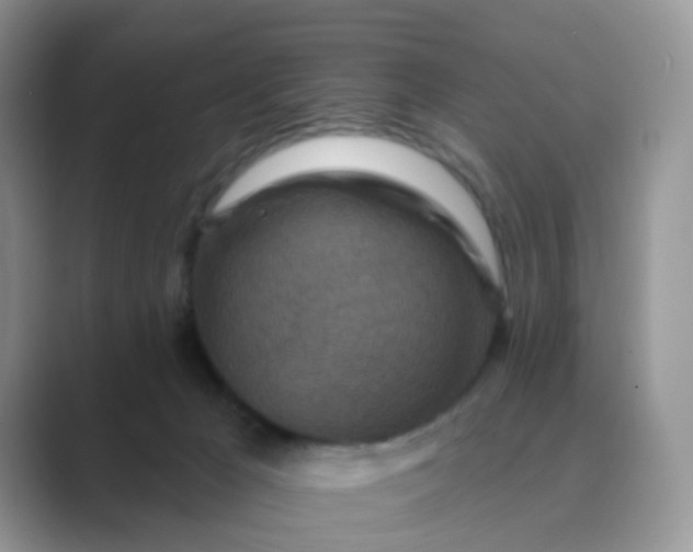 X0000089680029200707051615
