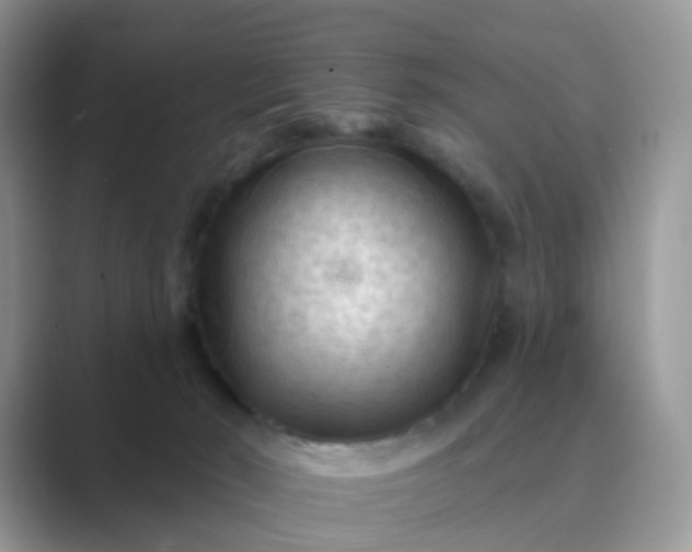 X0000089680030200707051615
