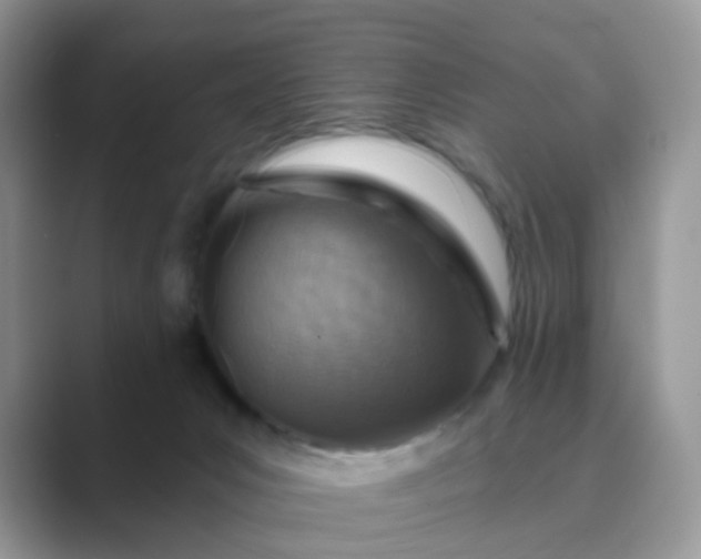 X0000089680031200707051615